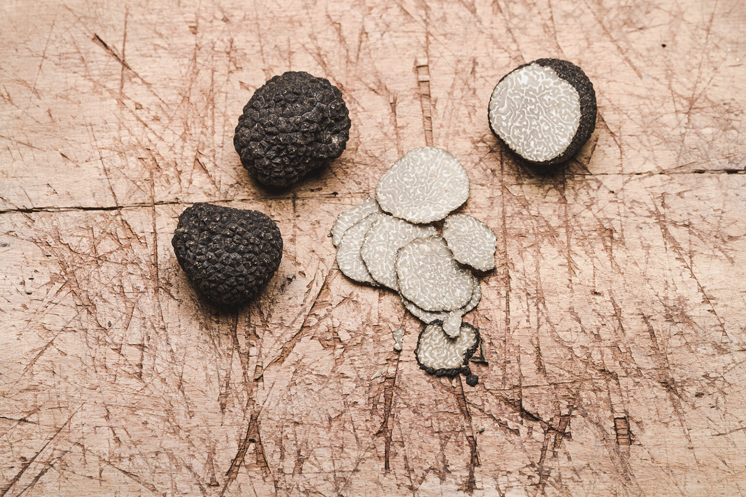 TrüffelGuide EinsteigerWissen von A wie Alba bis Z wie Zubereitung