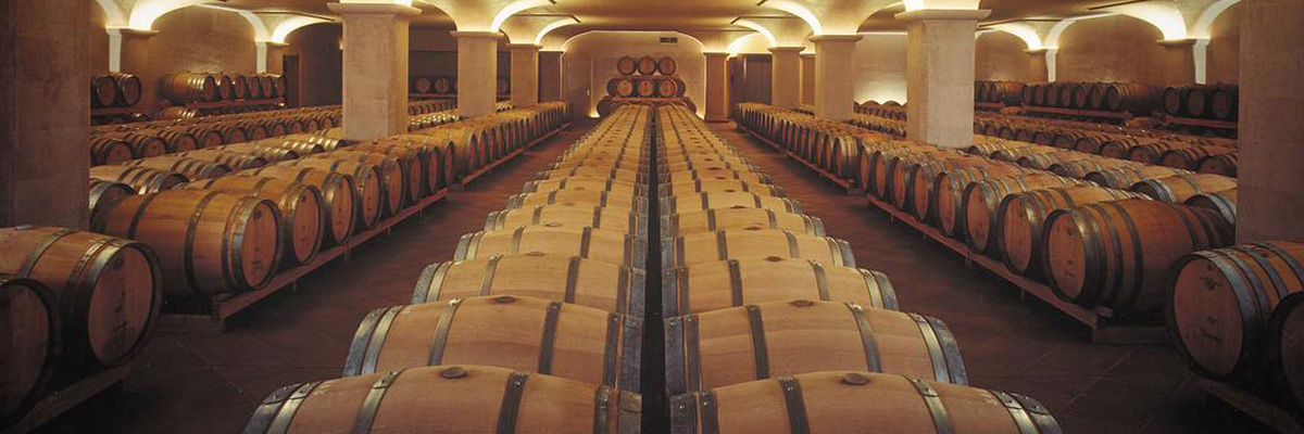 Tenuta San Leonardo wine wein