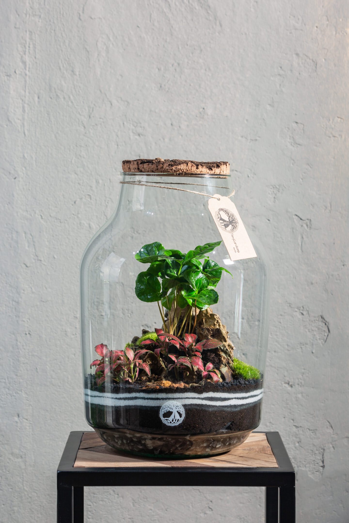 tiny gardens glas biotope living