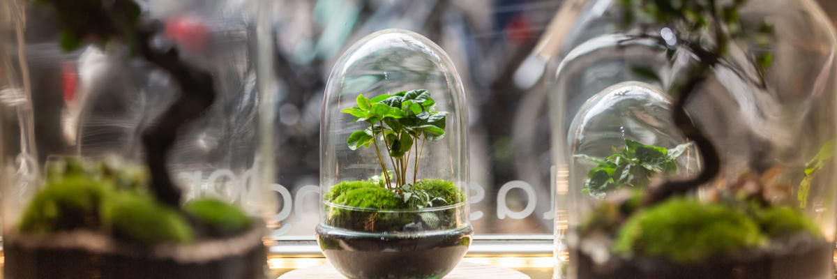 tiny gardens glas biotope living