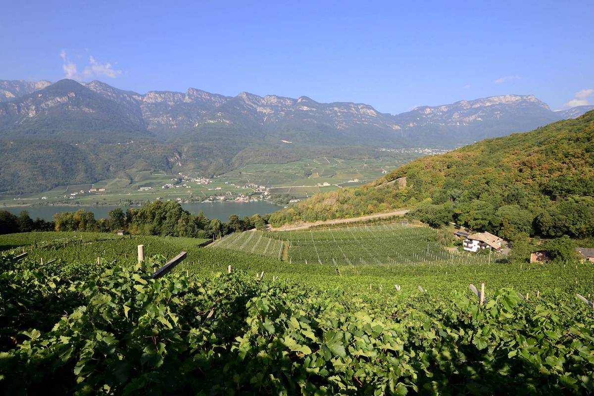 Weingut Nicolussi-Leck Südtirol