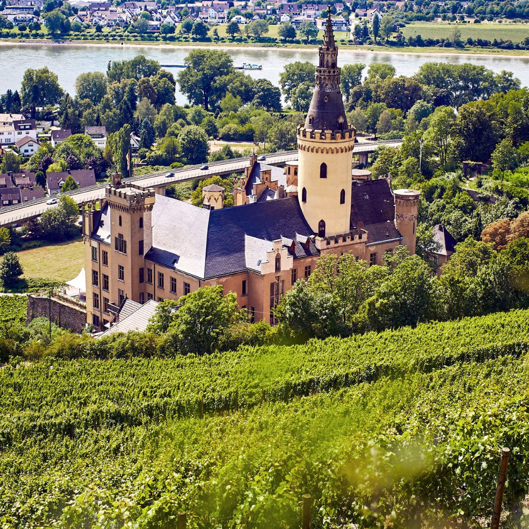 Rebenwächter Weine, Mittelrhein Wein, Wines of Germany