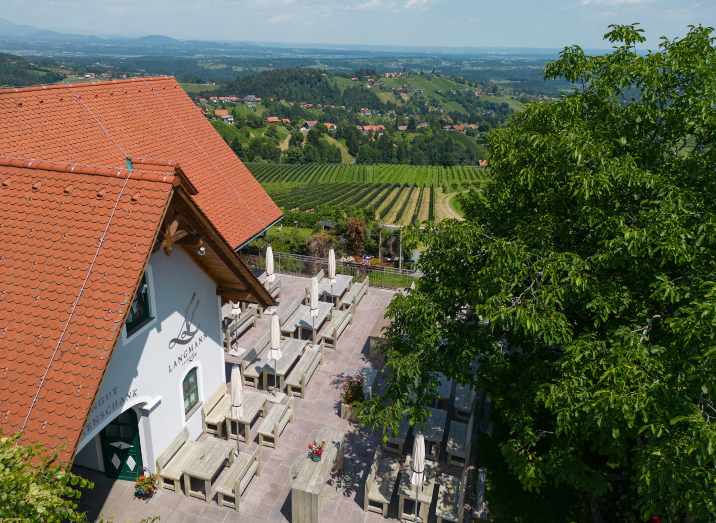 Schilcher, Weingut Lex Langmann, Steiermark Schilcher, Wein