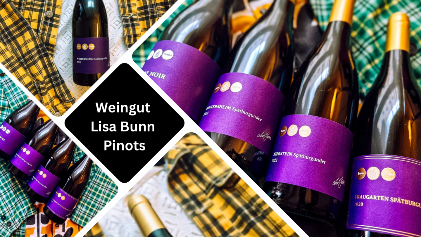 Weingut Lisa Bunn: Pinot Noir Party – 4 Spätburgunder im Tasting