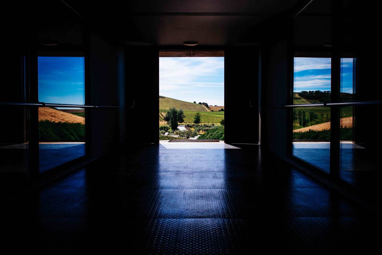 herdade do rocim, rocim winery, amphoren weine