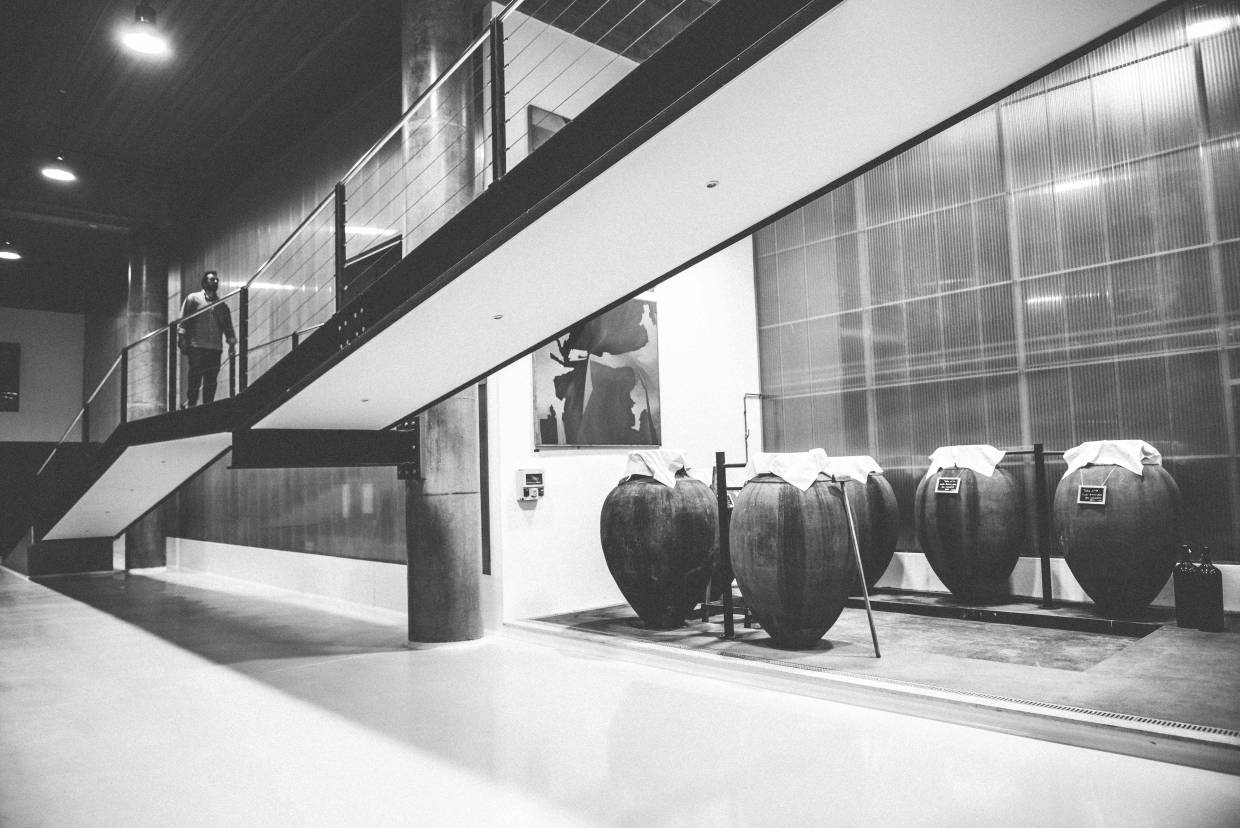 herdade do rocim, rocim winery, amphoren weine