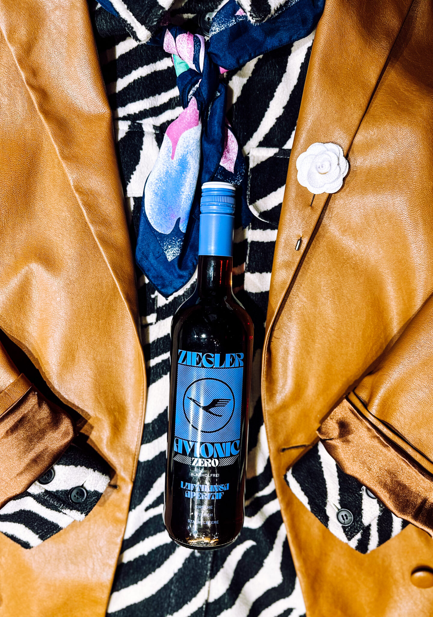 Ziegler Avionic Zero