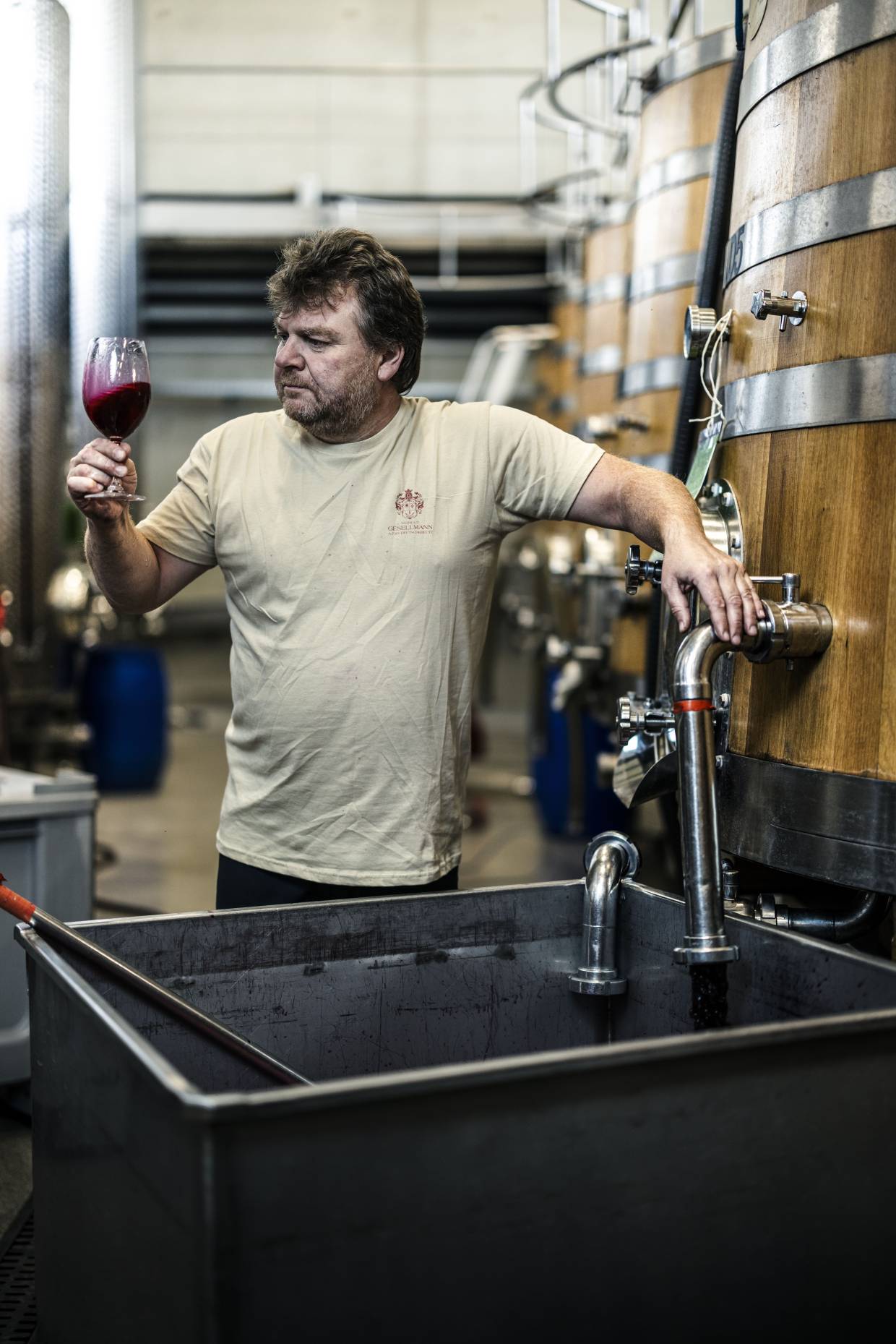 Weingut Gesellmann burgenland tasting