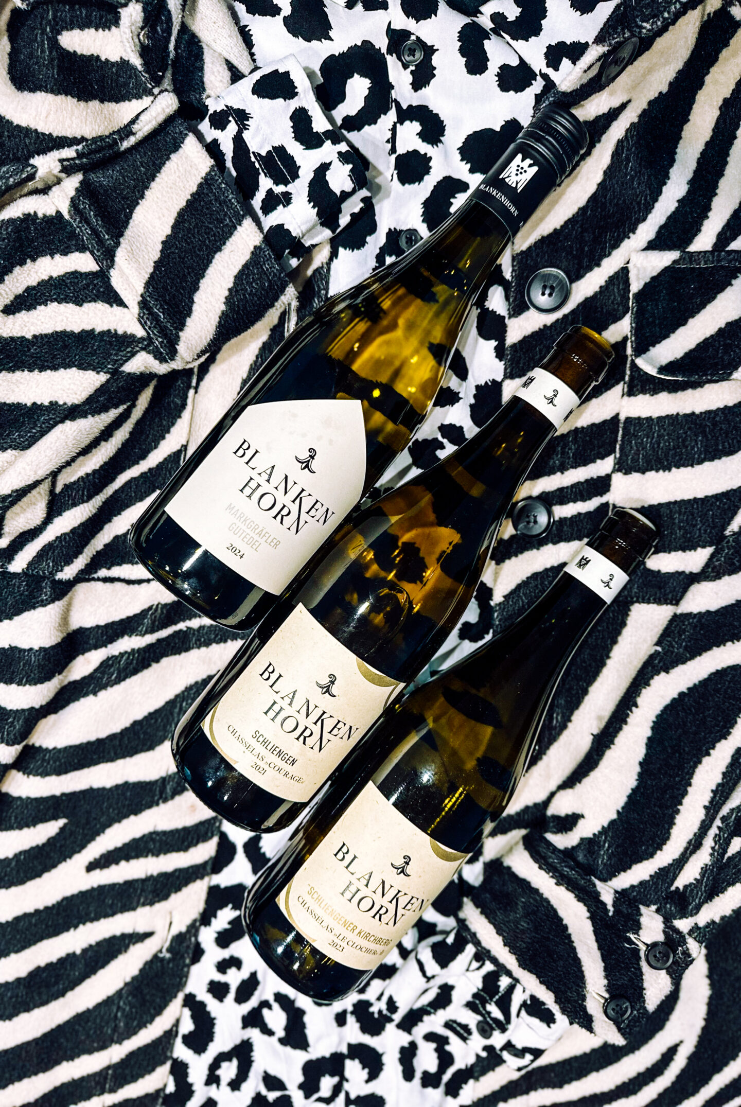 Weingut blankenhorn Gutedel Tasting