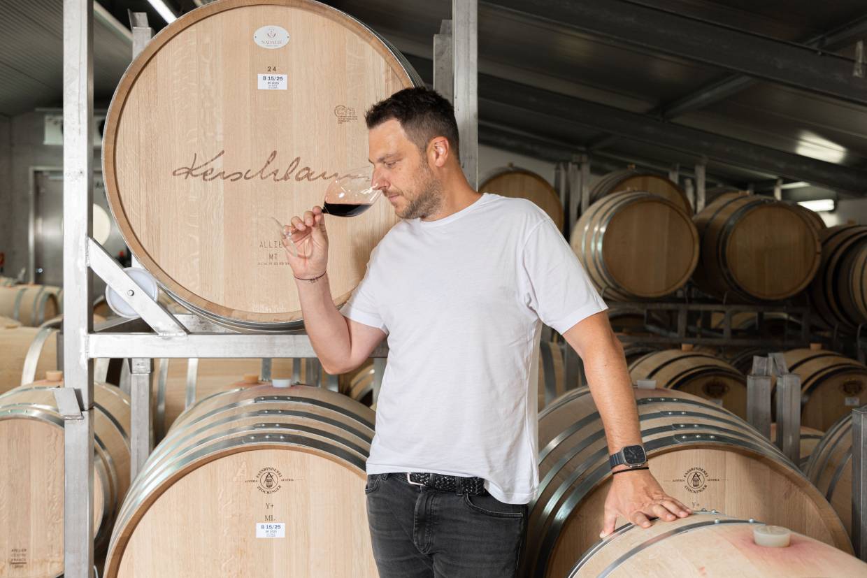 weingut kerschbaum X 2015 rotwein
