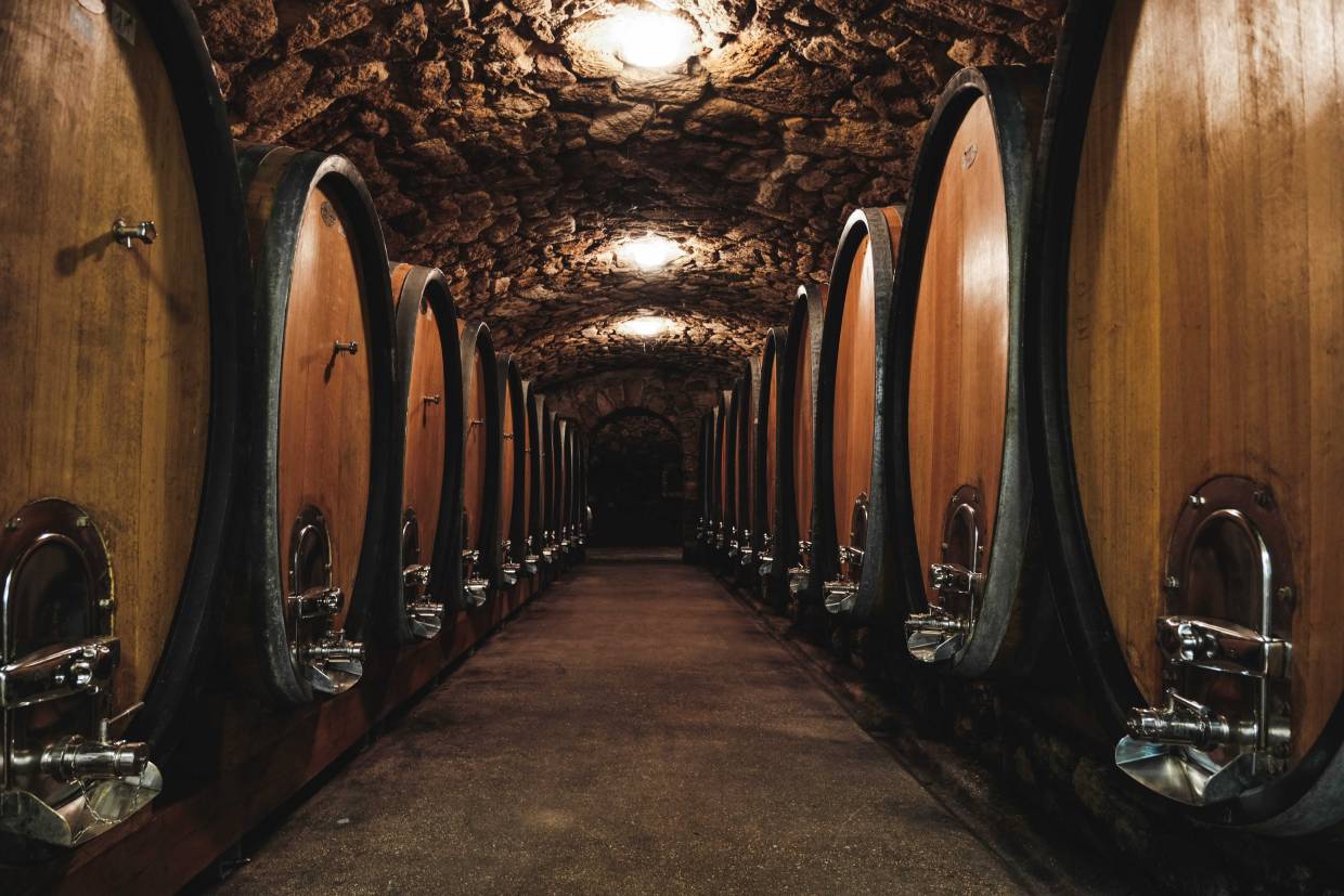 weingut kerschbaum X 2015 rotwein